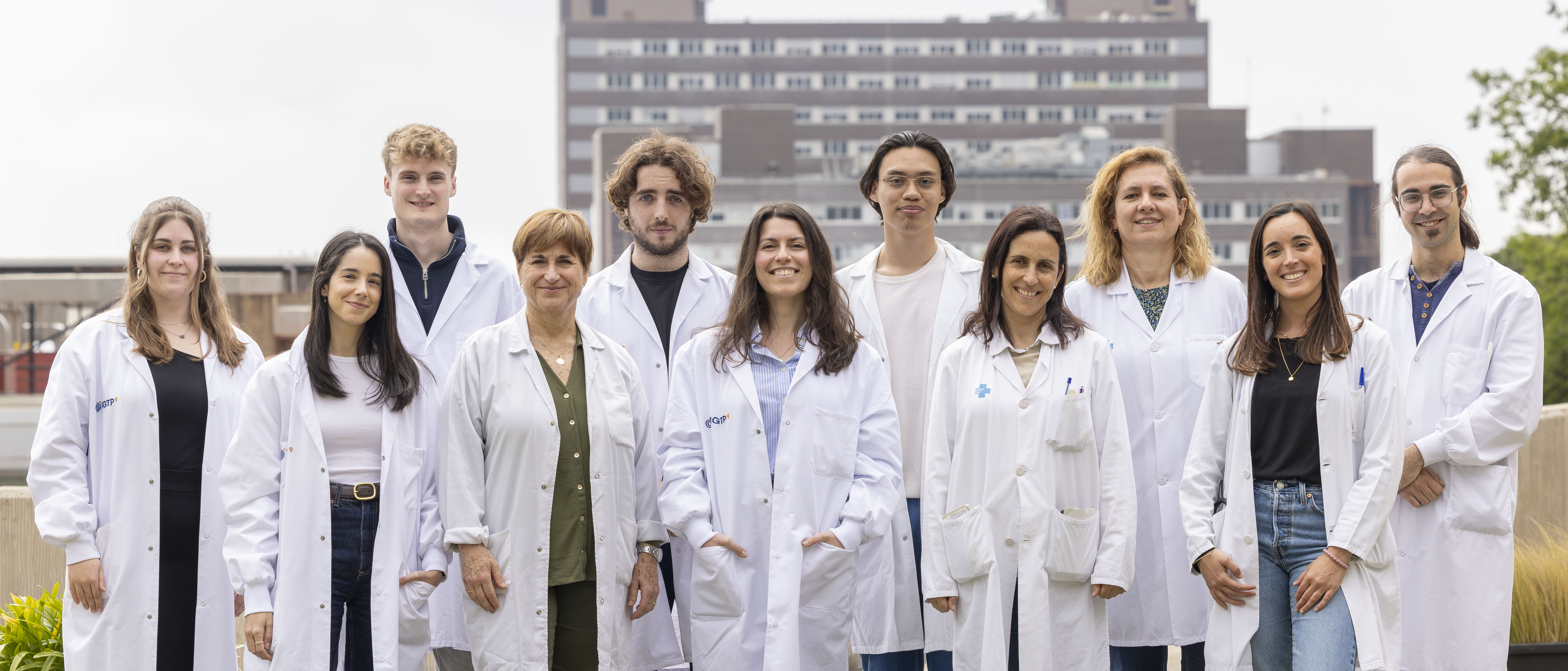 Immunology of Diabetes research group